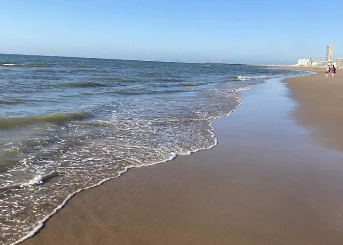 D'oville D'ostende * אוסטנדה