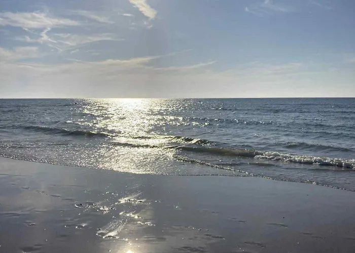 D'oville D'ostende Apartamento Ostende