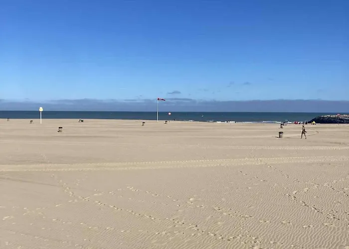 D'oville D'ostende אוסטנדה