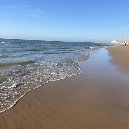 D'oville D'ostende * أوستيند